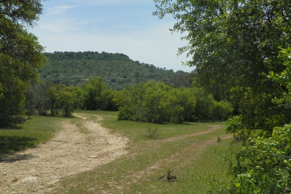 April 2016 Hill Country Ranches 014 April 2016 Hill Country Ranches 014