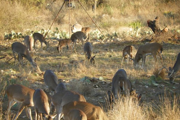 November 27, 2014 006 November 27, 2014 006